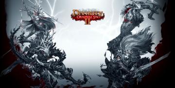 Divinity Original Sin 2 (PC)